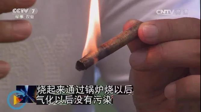 生物質(zhì)能源將來的能源主力，不應(yīng)該隨意燃燒秸稈