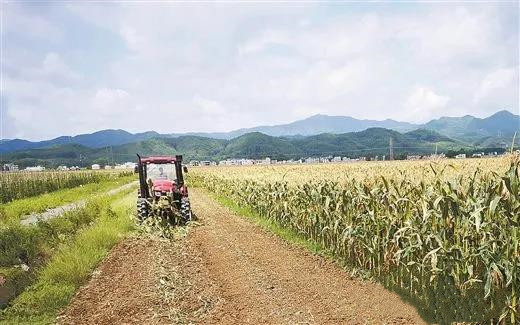 太湖望江入選中央財政秸稈綜合利用試點縣