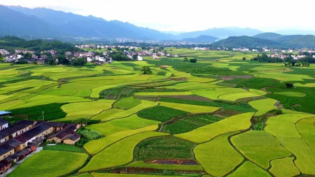 多位代表委員建議：重視生物質(zhì)能負(fù)碳屬性，推動(dòng)生物質(zhì)能源產(chǎn)業(yè)發(fā)展（二）