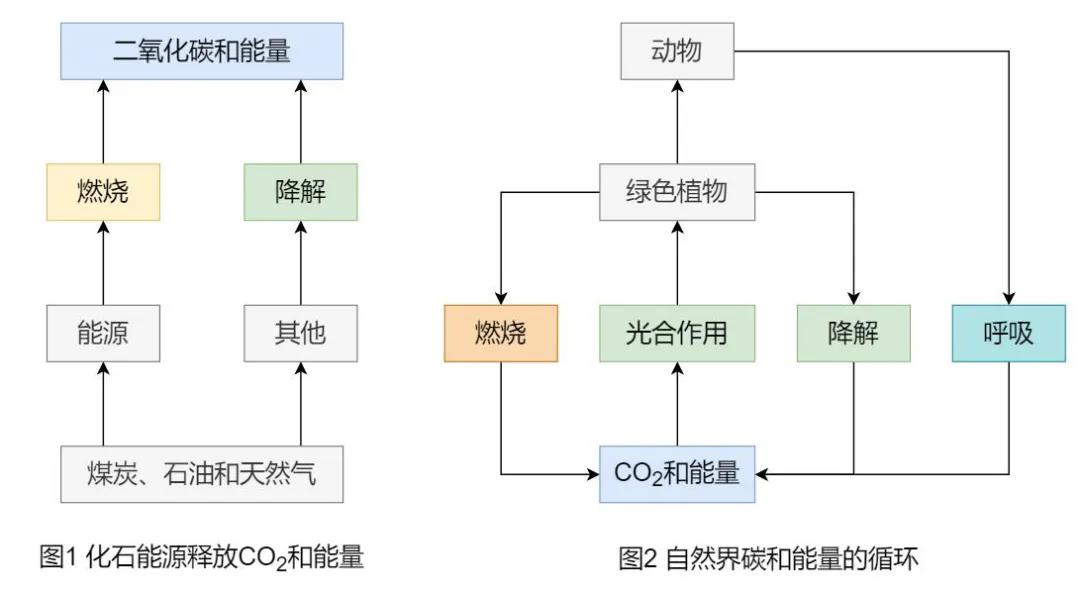 漲知識(shí)了！為什么說生物質(zhì)能是“零碳”能源