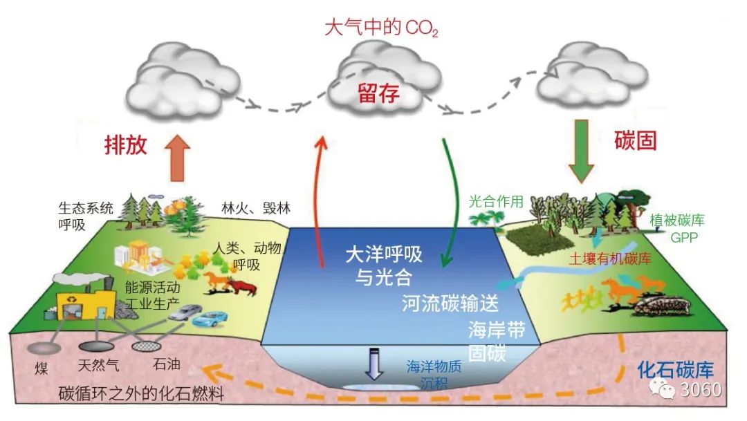 漲知識！什么是低碳、零碳、負碳技術(shù)（二）