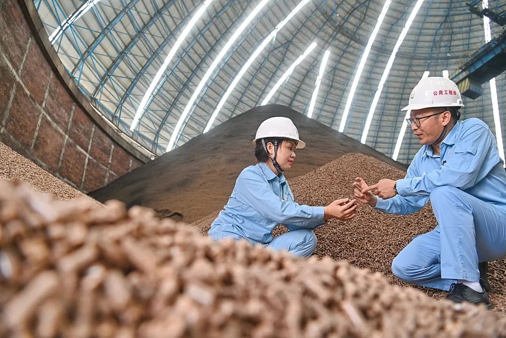 工業(yè)降碳新寵：農(nóng)作物秸稈“變廢為寶”2