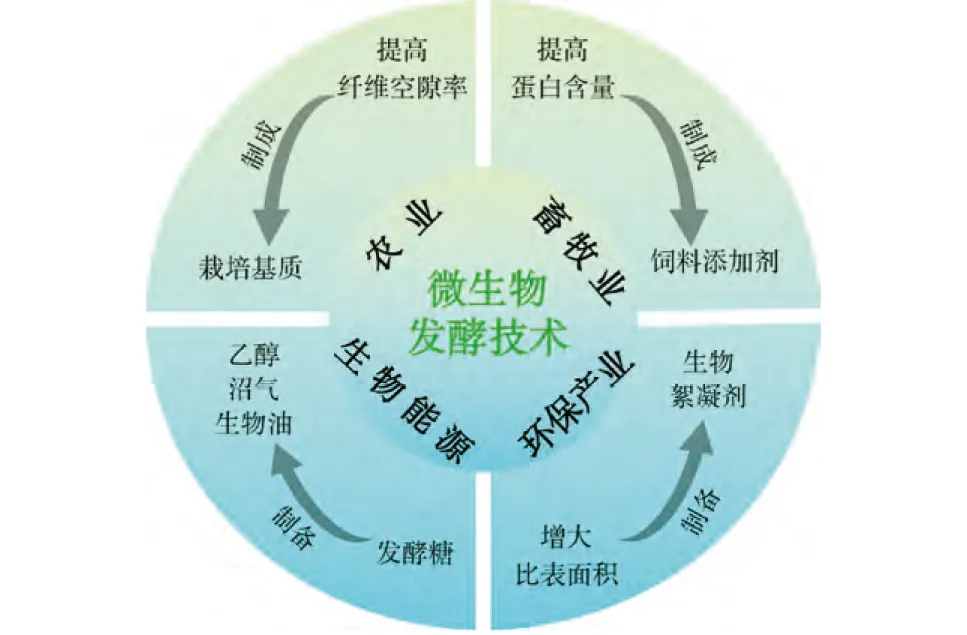 “雙碳”背景下中藥藥渣高值化利用技術(shù)與途徑2